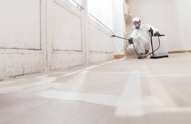 24/7 Emergency Crawl Space Mold Removal experts in South Plainfield, NJ